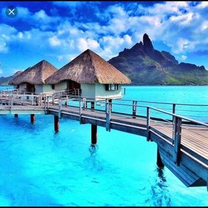 Meet your Posher, Fredy